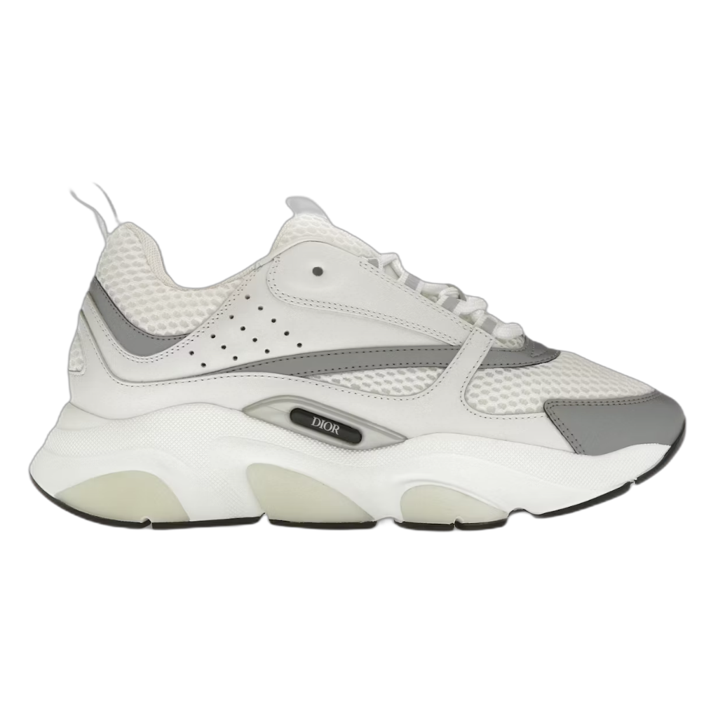 Dior B22 White Silver